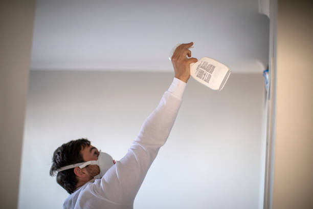 Best Post-Flood Mold Remediation in Appomattox, VA
