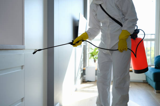 Best Post-Remediation Services in Appomattox, VA