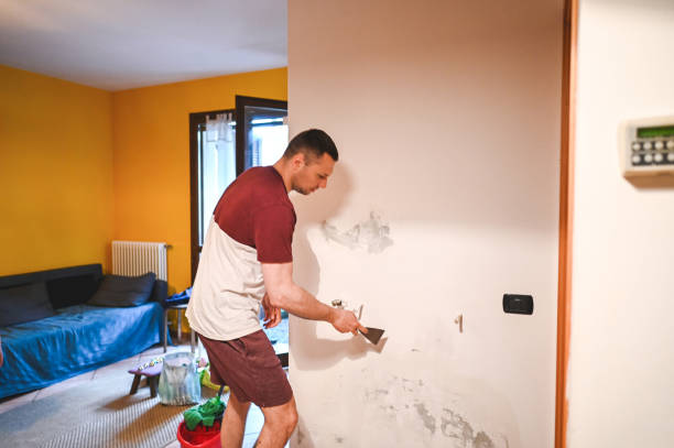 Best Bathroom Mold Remediation in Appomattox, VA