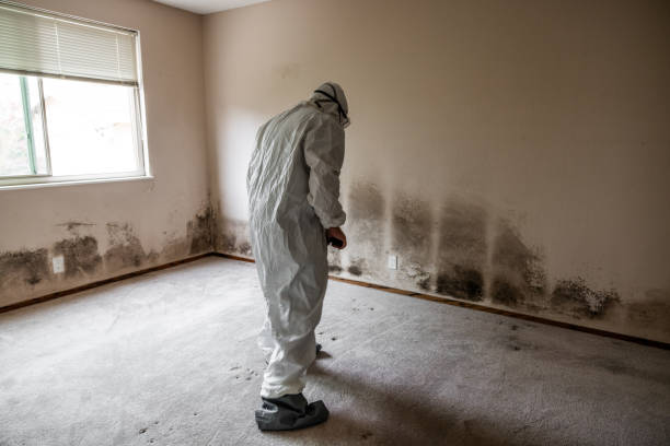 Best HVAC Mold Remediation in Appomattox, VA